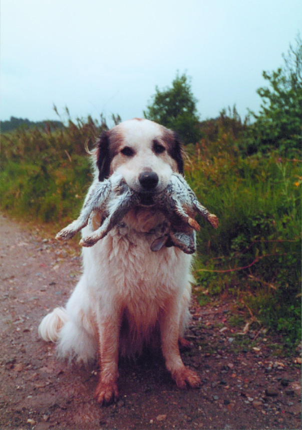 Sorry, ist einfach so passiert!.jpg (603 x 858)